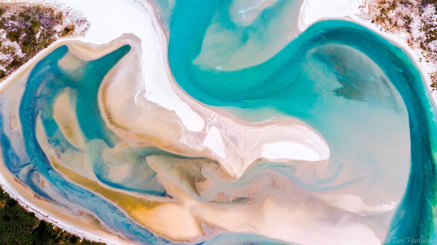 Original portrait before pixel sorting